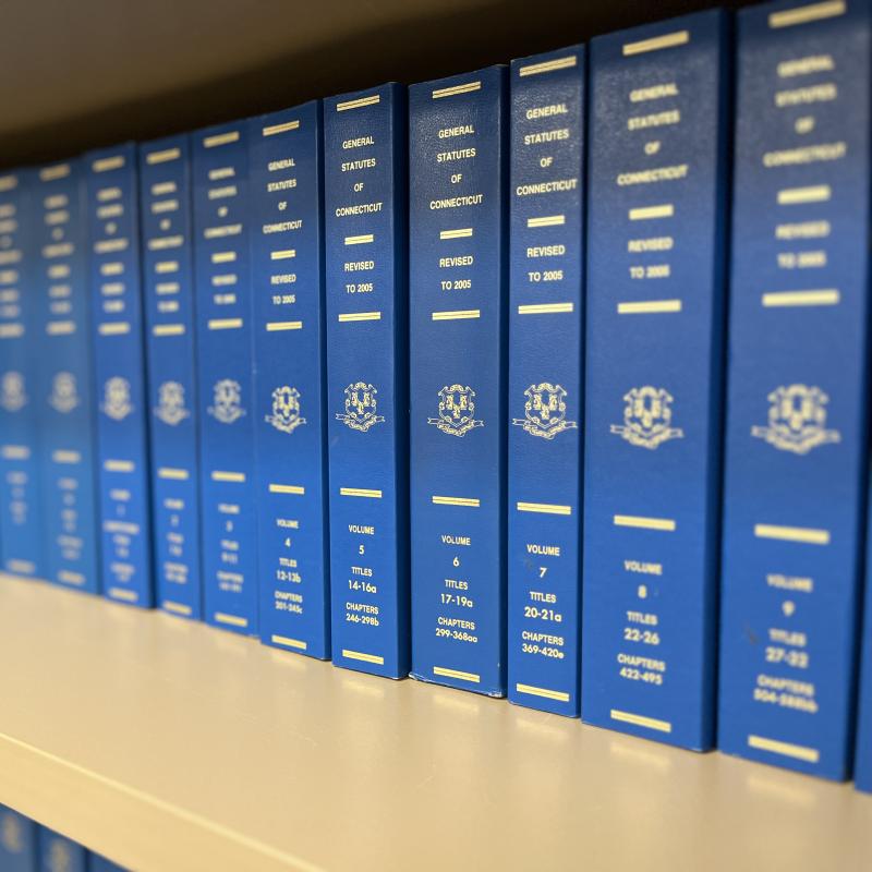 Libros de estatutos de 2005